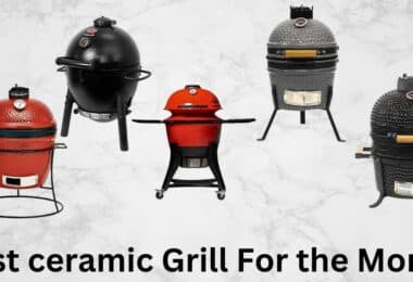Best ceramic grill for the money