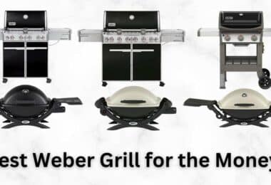 Best weber grill for the money